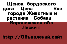 Щенок  бордоского  дога. › Цена ­ 60 000 - Все города Животные и растения » Собаки   . Воронежская обл.,Лиски г.